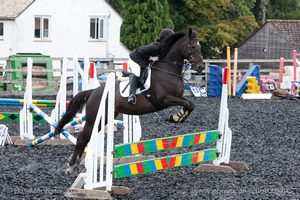 Class 5 - Fences not above 2'6